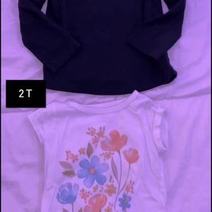 2T Toddler Girl Shirt Bundle